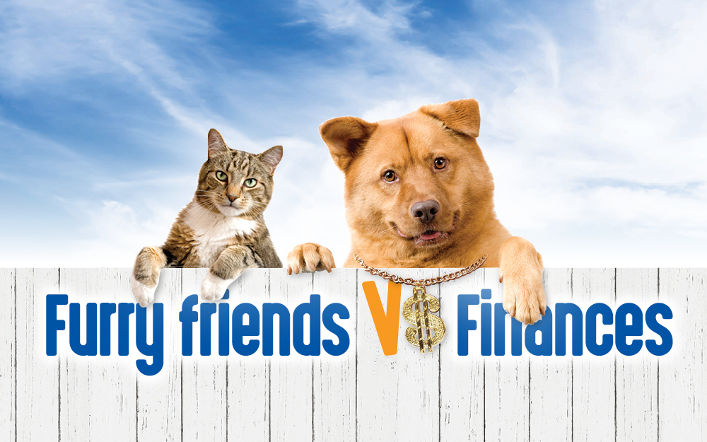 Furry friends vs finances